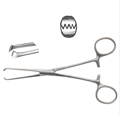allis tissue forceps